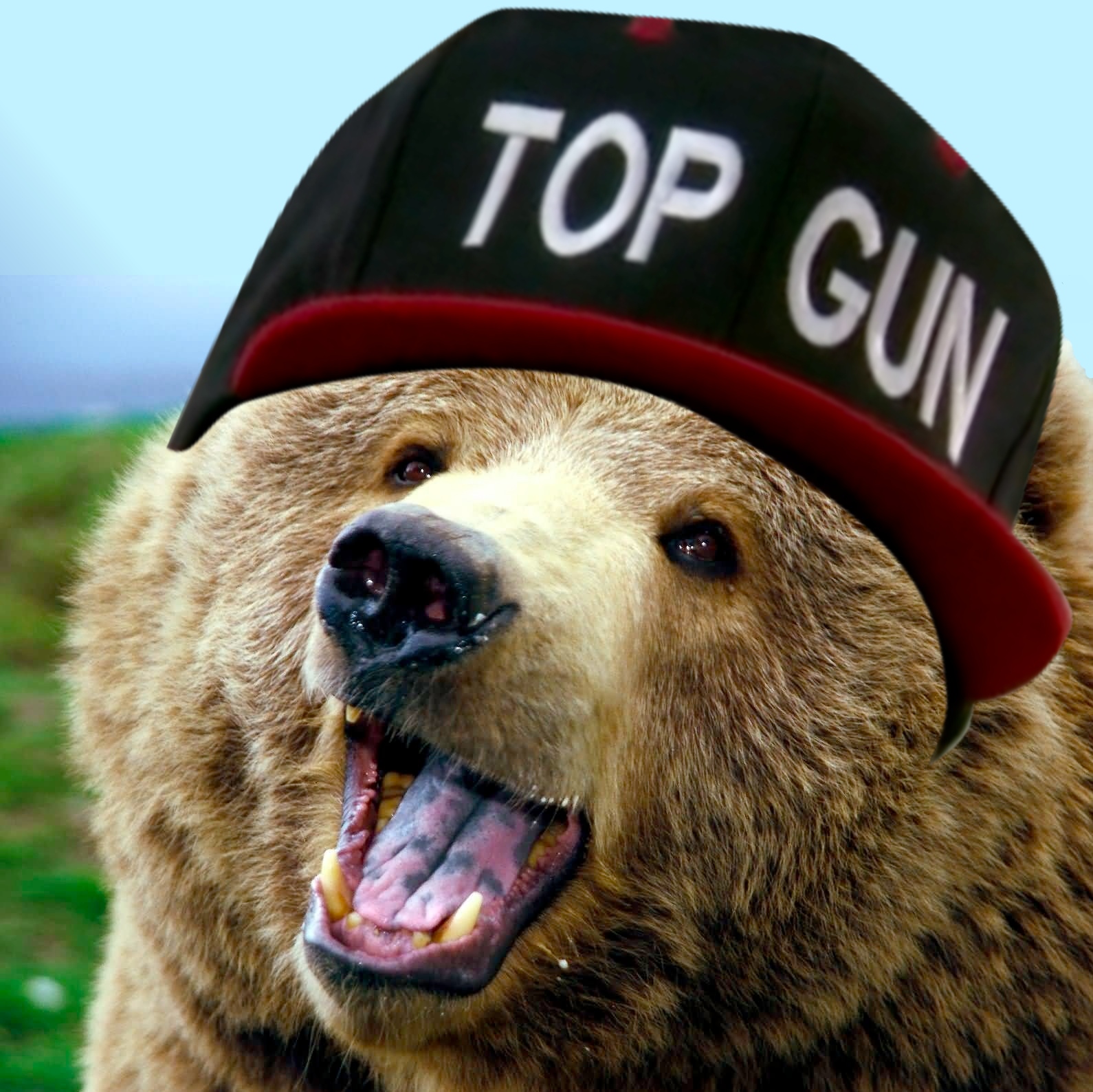 [Image 644803] Top Gun Hat Know Your Meme