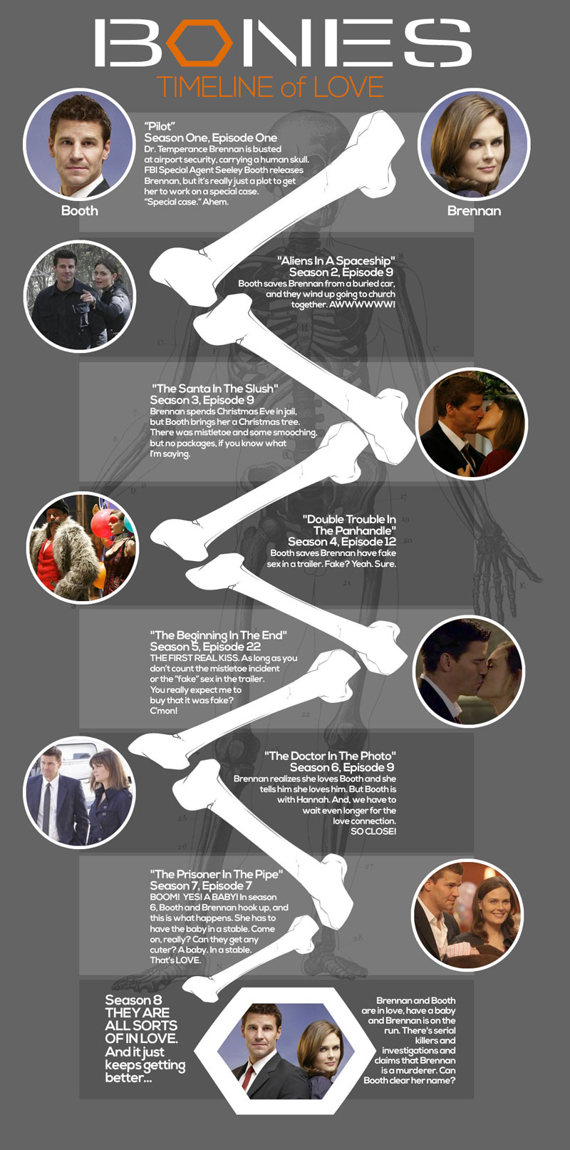 Bones TV Show Timeline of Passion Infographic Dumps Know Your Meme