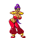shantae sprites gif shantae sprites gif