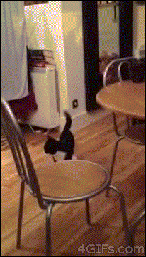 f27.gif
