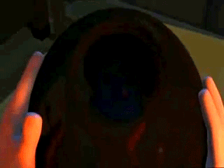 0f5.gif