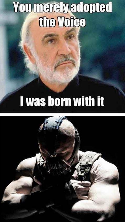 You Merely Adopted The Darkness