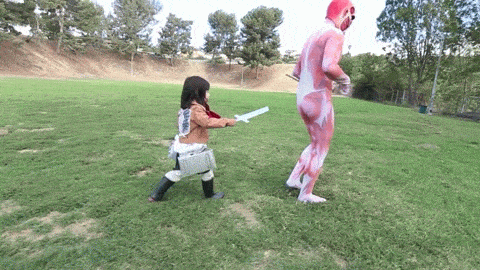 c46.gif