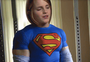 329.gif