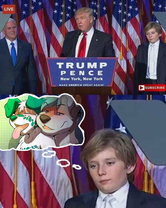 The Real Barron Trump His Song Reveals A Different Side - ue5w4ok