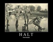 Halt