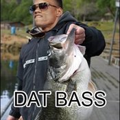 Datbass.jpg