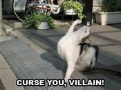 Cat-curse-you-villain