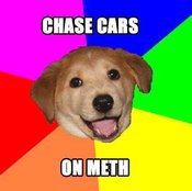 Methdog