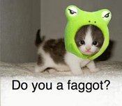 Catfrog