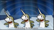 Narwhals