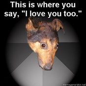Dog1
