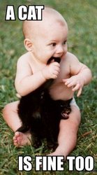 Kitty_a_cat_is_fine_too__baby_