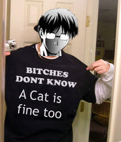 Bdk_a_cat_is_fine_too