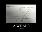 A_whale