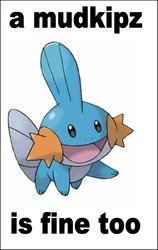 Mudkipzfine