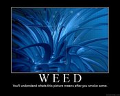 Demotivator_weed_