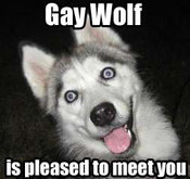 Gaywolf