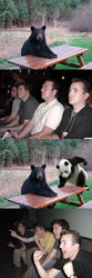 Reaction_guys_vs_bear