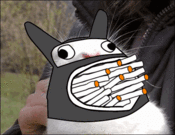 Ngbbs4aad44d97af48