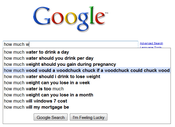 Woodchucks_in_my_google._its_more_likely_than_you_think