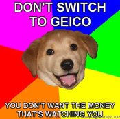 Advice-dog-dont-switch-to-geico-you-dont-want-the-money-thats-watching-you