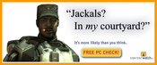 Jackals_in_my_courtyard