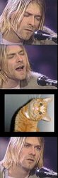 Kurtstraightos