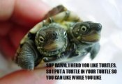Supdawgturtles