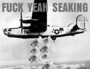Fuck_yeah_seaking