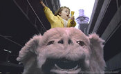 Falcor