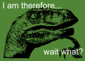 Philosoraptor