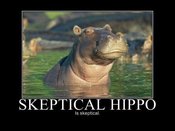 Skeptical_hippo