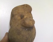 Spud_20face_204