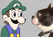 Weegee1