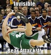 Bearattackjpg