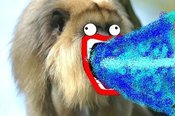 110826854_3ef85d90f1