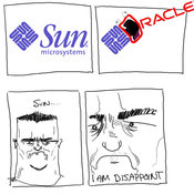 Sun-oracle-disappoint