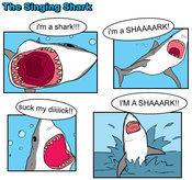 Shark1