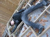 Playing_dead