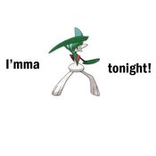 Gallade_tonight