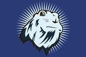 Bt-dramaticchipmunk-gallery-2442