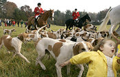 Bubbles_foxhunt