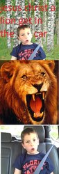 A_lion