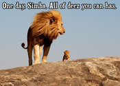 Lolsimba