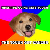 Toughget