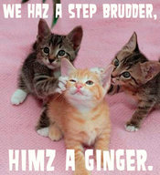 Ginger