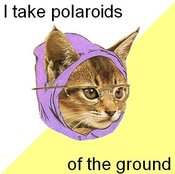 Take_polaroids_of_ground