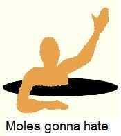 Moles_gonna_hate20110724-22047-91oiaw