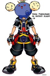 Kh2sora_pic